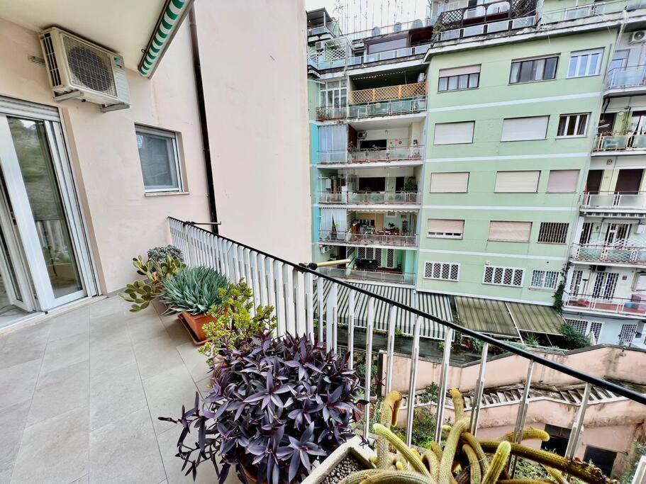 Lussuoso 130 Mq Zona Cipro — Foto 1